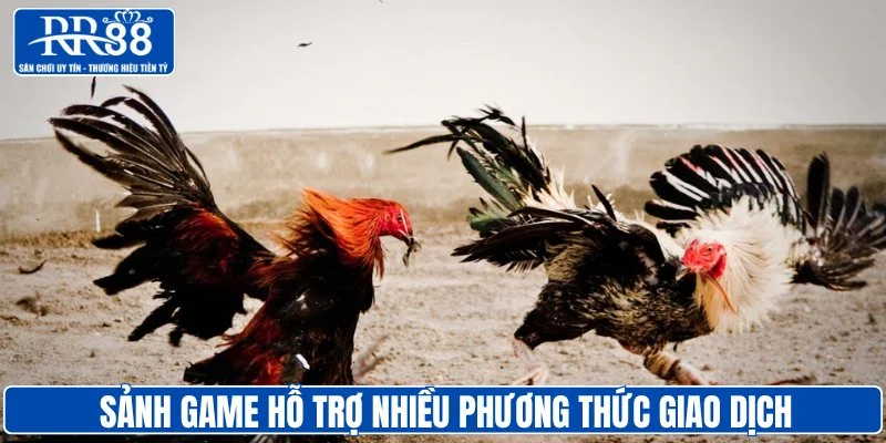 Khuyến mãi đá gà RR88 cực hấp dẫn